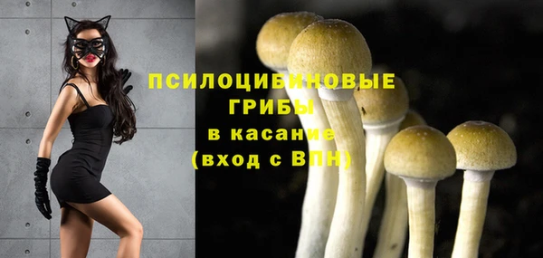 гашиш Надым