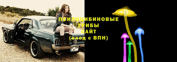 а пвп мука Заводоуковск