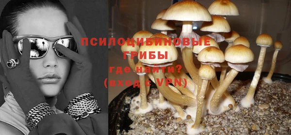 первитин Елабуга