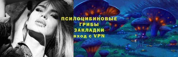 гидра Фёдоровский