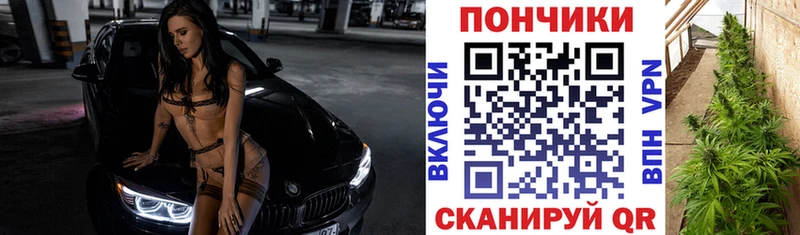 кракен ССЫЛКА  наркошоп  Рудня  Бошки марихуана тримм 